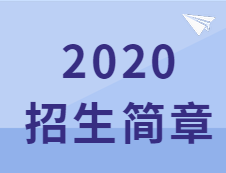 速查：這些院校2020招生簡章已經公布！